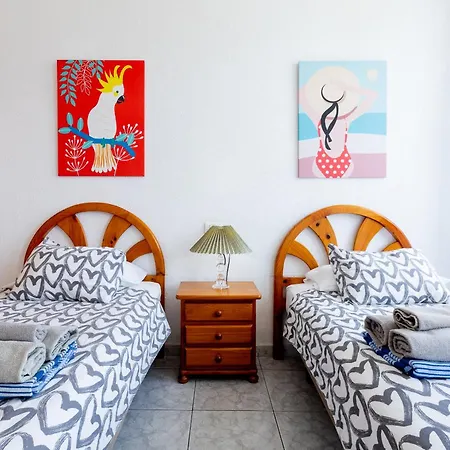 Veracruz Sunrises, Americas