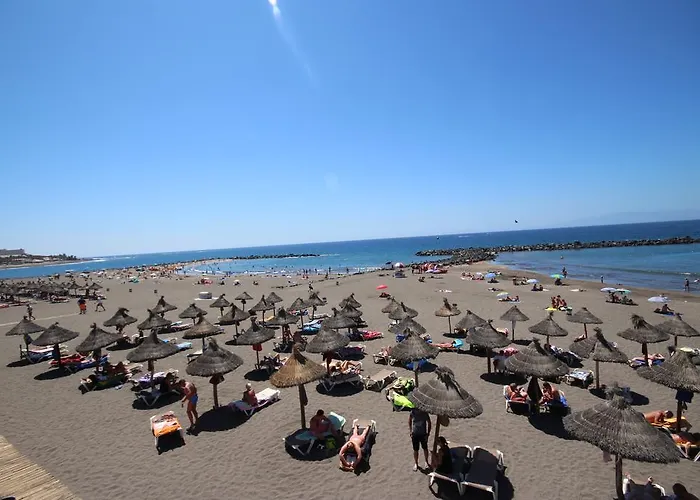 Veracruz Sunrises, Americas